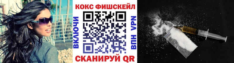 КОКАИН Fish Scale  MEGA как зайти  Купино 