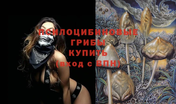 хмурый Армянск