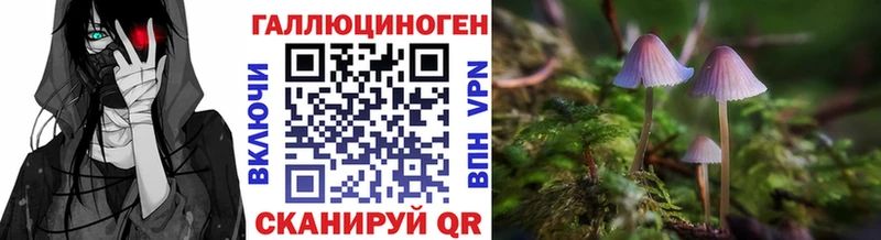 цены   Купино  Галлюциногенные грибы GOLDEN TEACHER 