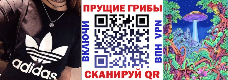 Псилоцибиновые грибы мицелий Купино